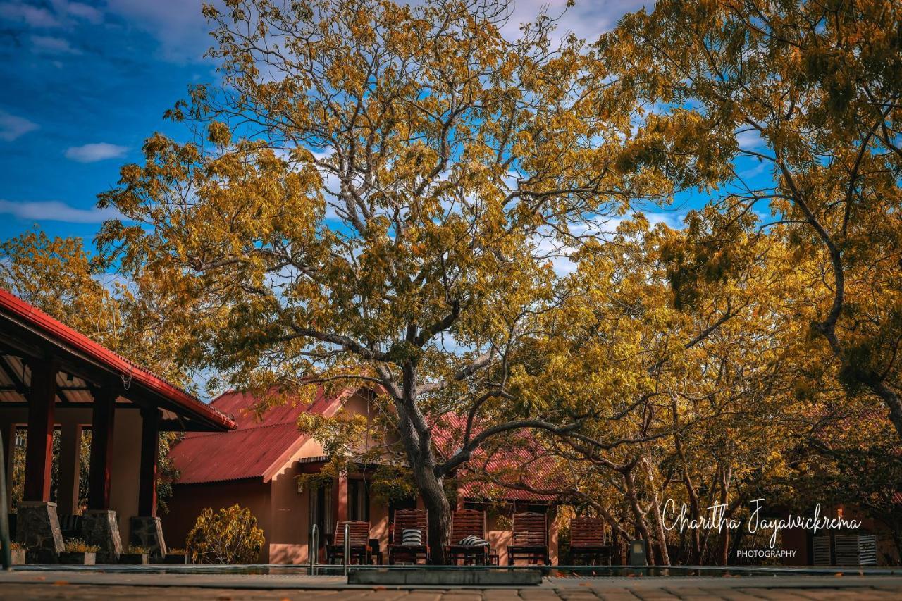 Yala Chalets By Lalan Leisure Kirinda  Esterno foto